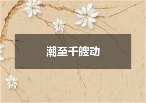 潮至千艘动