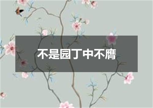 不是园丁中不膺