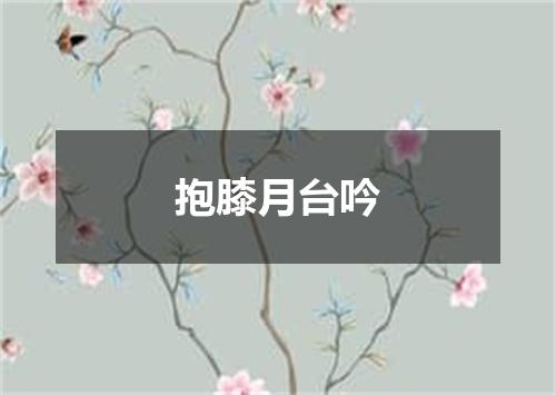 抱膝月台吟