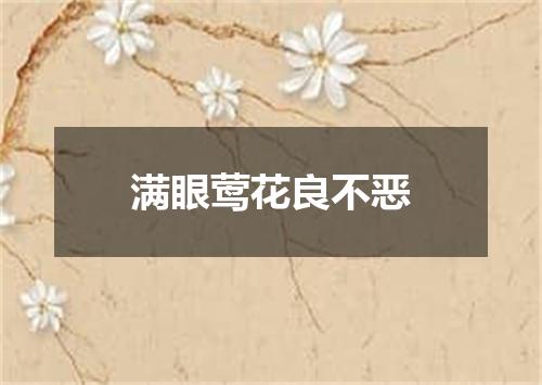 满眼莺花良不恶