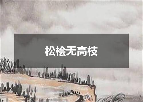 松桧无高枝