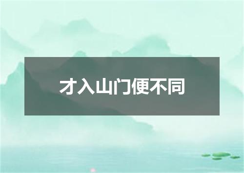 才入山门便不同