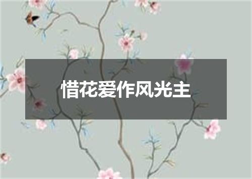 惜花爱作风光主