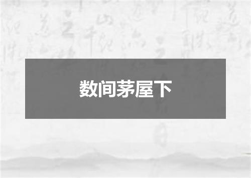 数间茅屋下