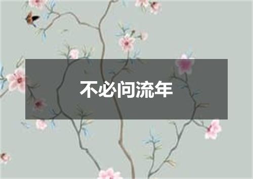 不必问流年
