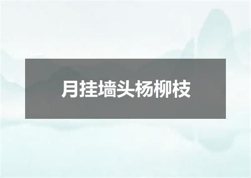 月挂墙头杨柳枝