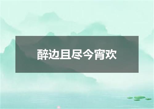 醉边且尽今宵欢