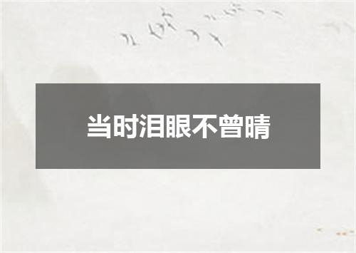 当时泪眼不曾晴
