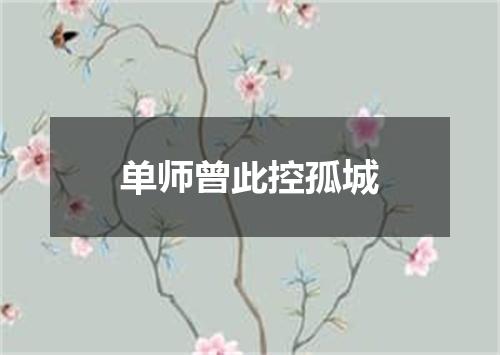 单师曾此控孤城