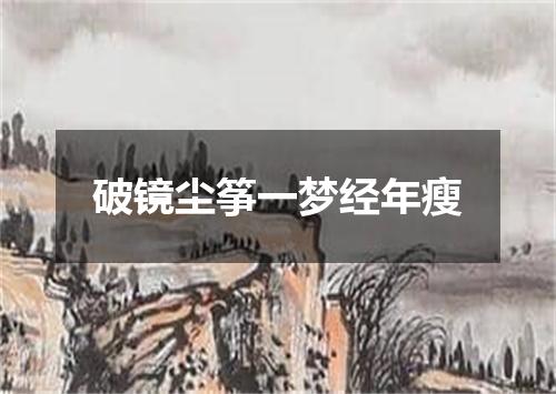 破镜尘筝一梦经年瘦