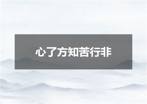 心了方知苦行非