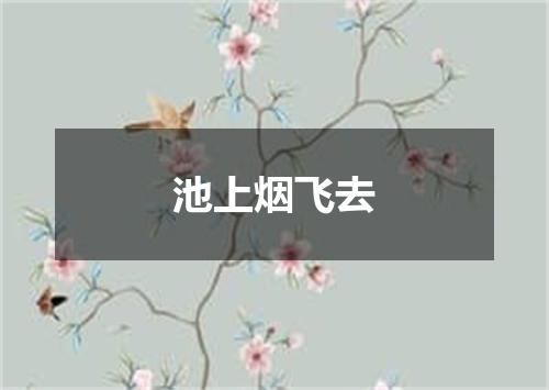 池上烟飞去