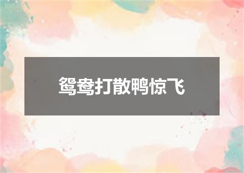 鸳鸯打散鸭惊飞