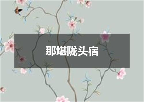 那堪陇头宿