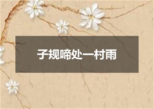 子规啼处一村雨
