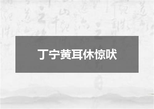 丁宁黄耳休惊吠