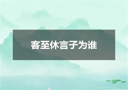 客至休言子为谁