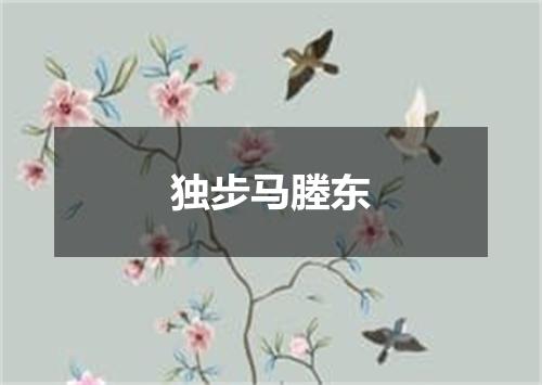 独步马塍东