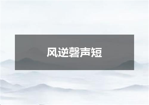 风逆磬声短