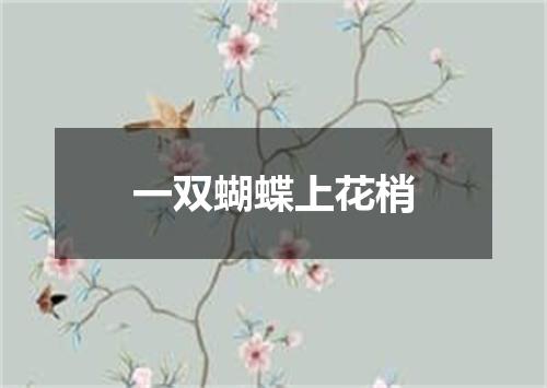 一双蝴蝶上花梢