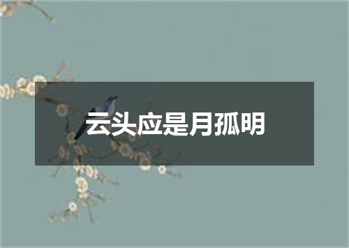 云头应是月孤明
