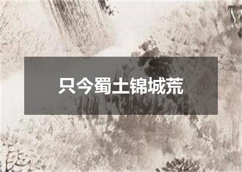只今蜀土锦城荒