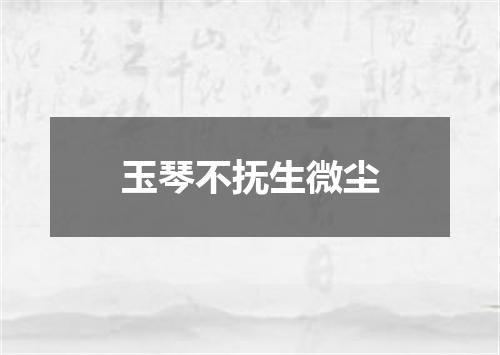 玉琴不抚生微尘
