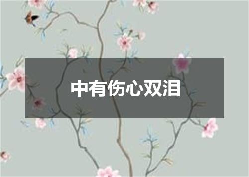 中有伤心双泪