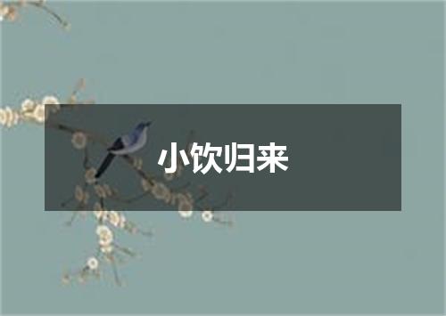 小饮归来