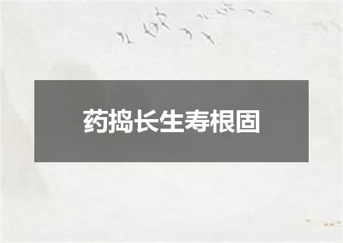 药捣长生寿根固