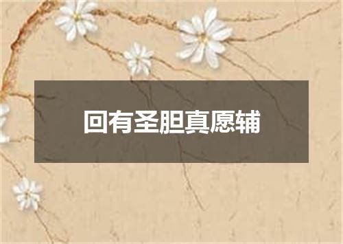 回有圣胆真愿辅