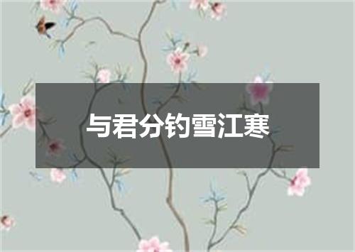 与君分钓雪江寒