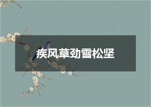 疾风草劲雪松坚