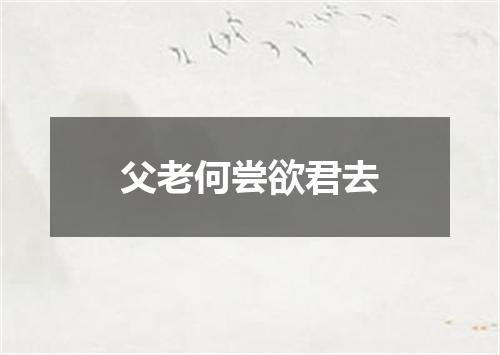 父老何尝欲君去