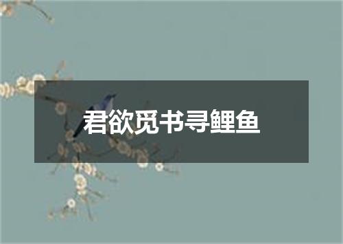 君欲觅书寻鲤鱼