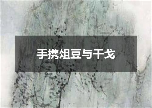 手携俎豆与干戈