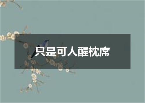 只是可人醒枕席