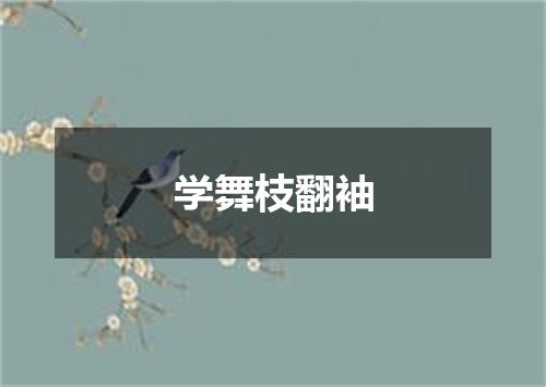 学舞枝翻袖