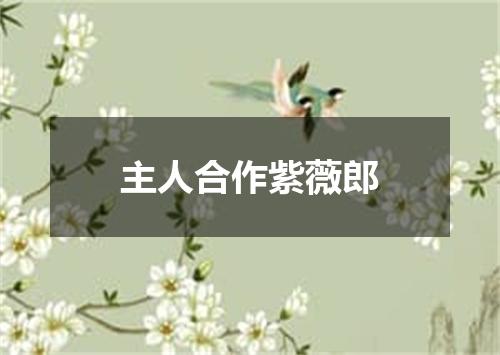 主人合作紫薇郎