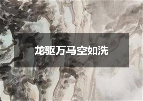 龙驱万马空如洗