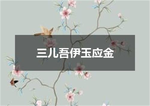 三儿吾伊玉应金
