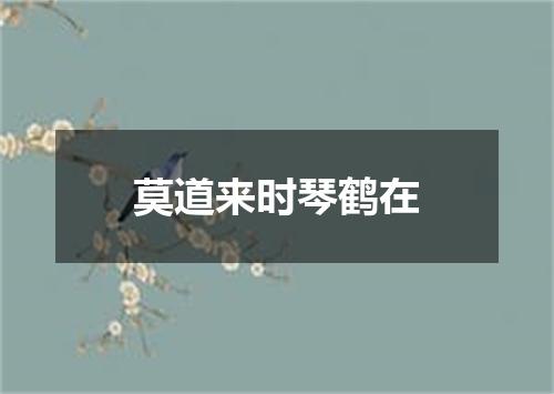莫道来时琴鹤在