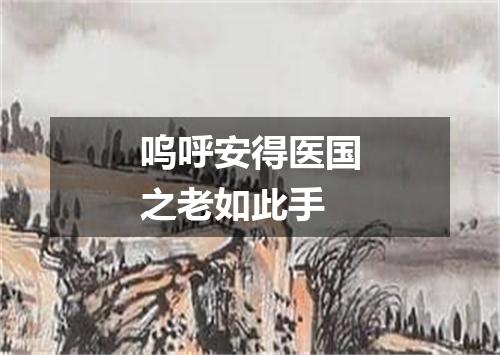 呜呼安得医国之老如此手