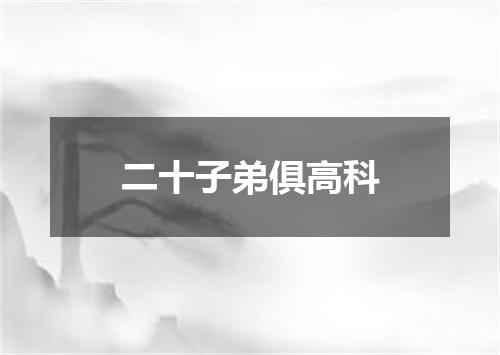 二十子弟俱高科