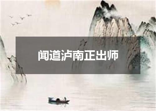 闻道泸南正出师