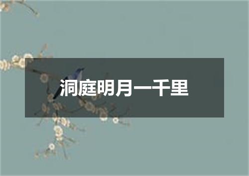 洞庭明月一千里