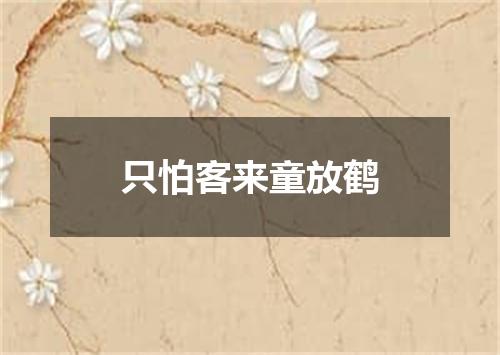 只怕客来童放鹤