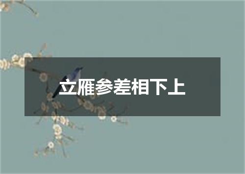 立雁参差相下上