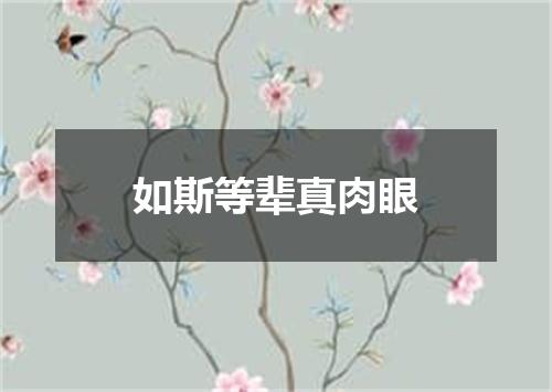 如斯等辈真肉眼