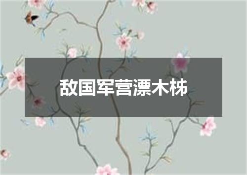敌国军营漂木柹